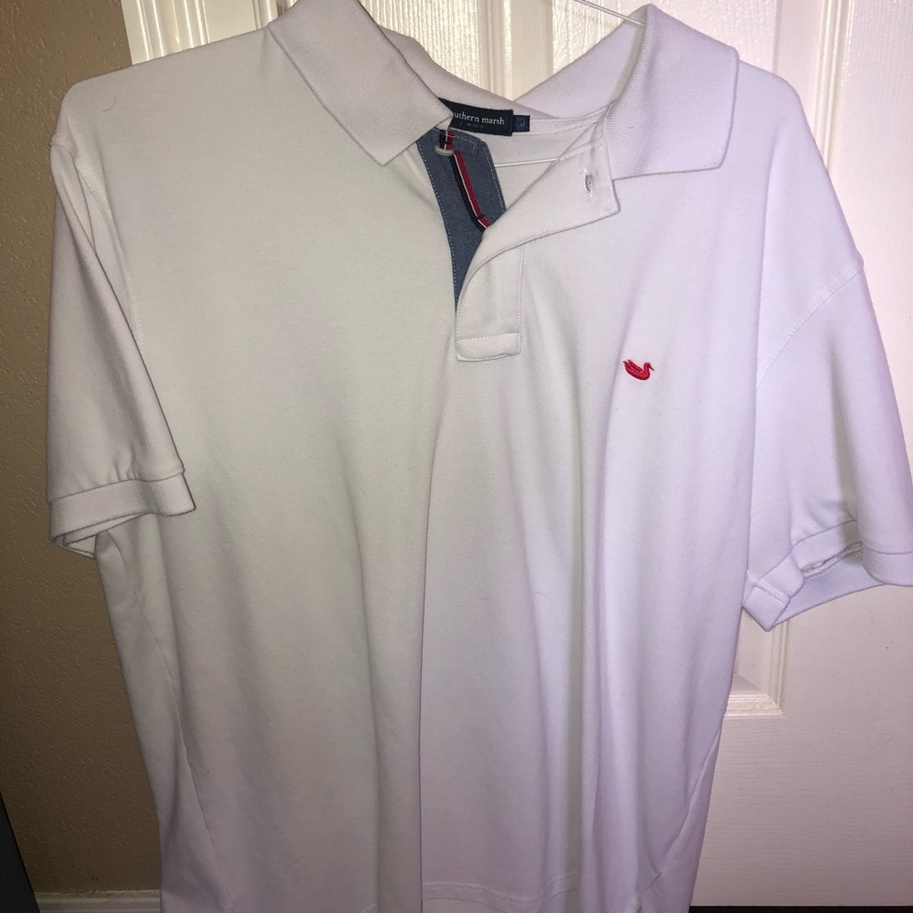 Southern marsh polo
